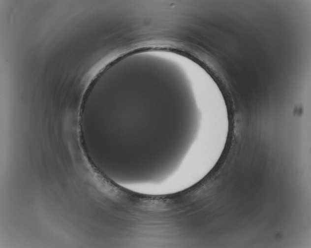X0000111521229200908111155