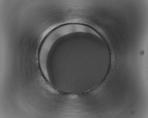 X0000111521230200908111155