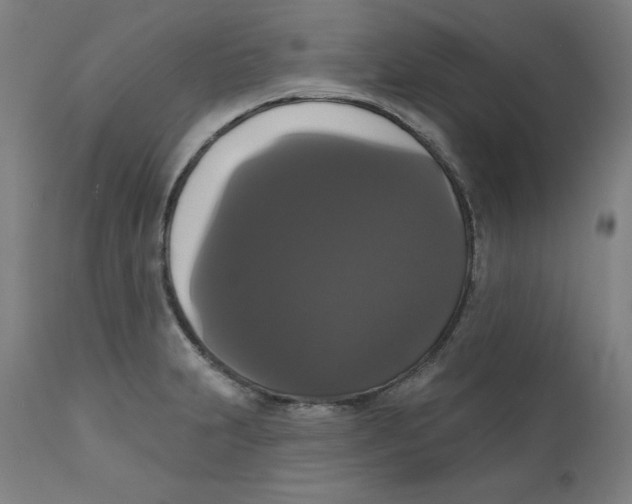 X0000111521231200908111155