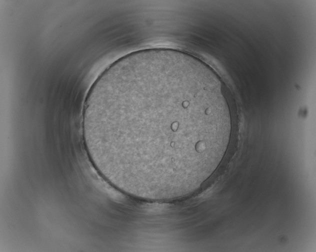 X0000111521236200908111155