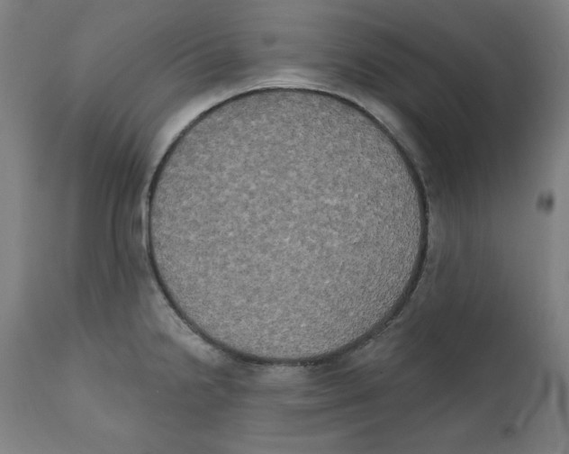 X0000111521238200908111155