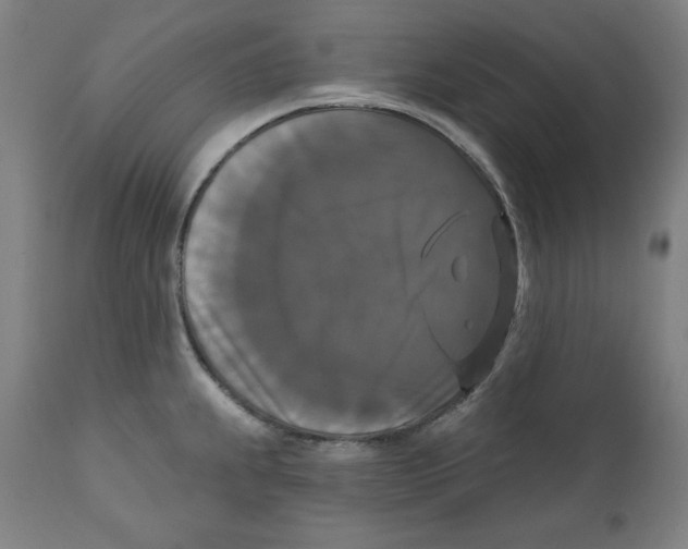 X0000111521239200908111155