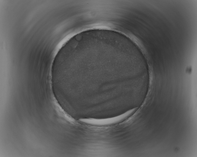 X0000111521240200908111155