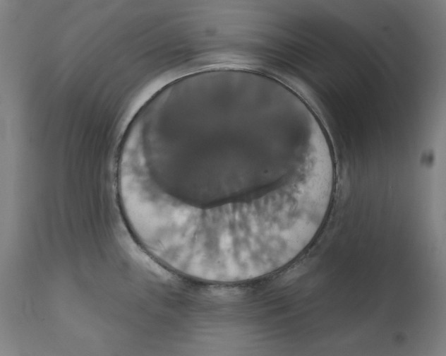 X0000111521243200908111155