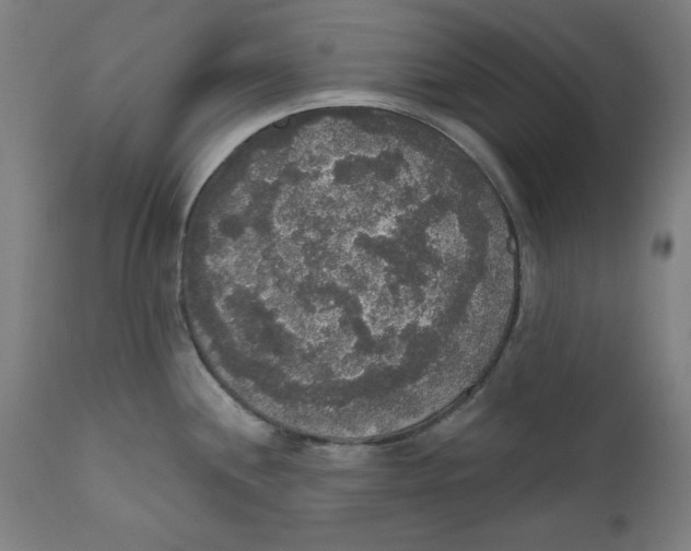 X0000111521244200908111155