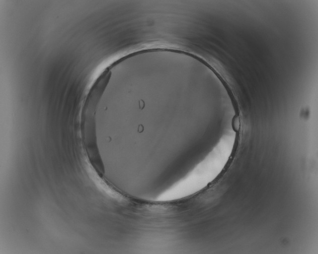 X0000111521246200908111155