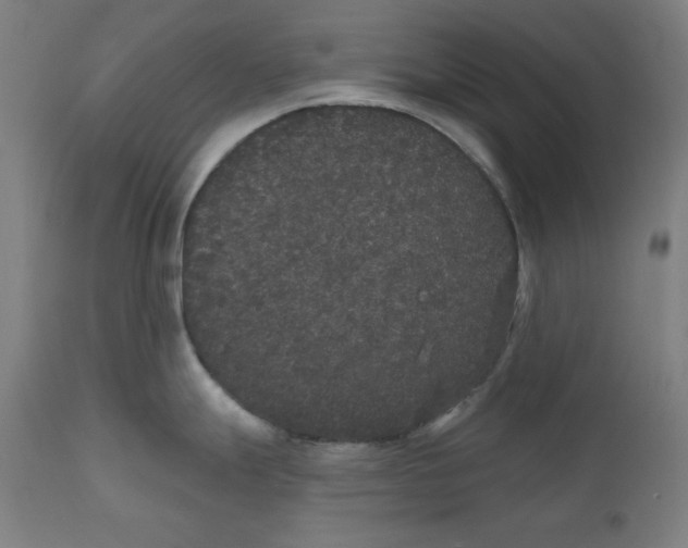 X0000111521247200908111155