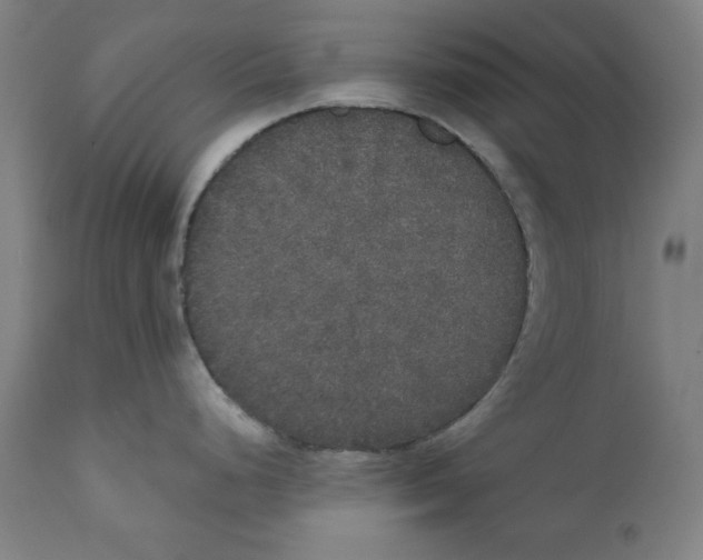 X0000111521248200908111155