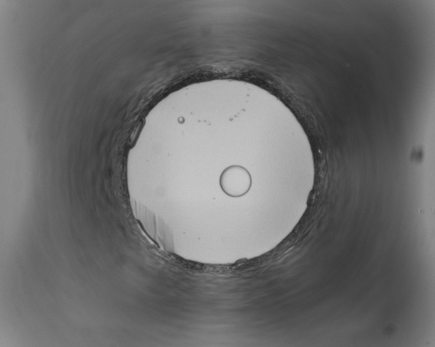 X0000111521249200908111154