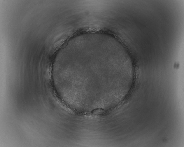 X0000111521250200908111154