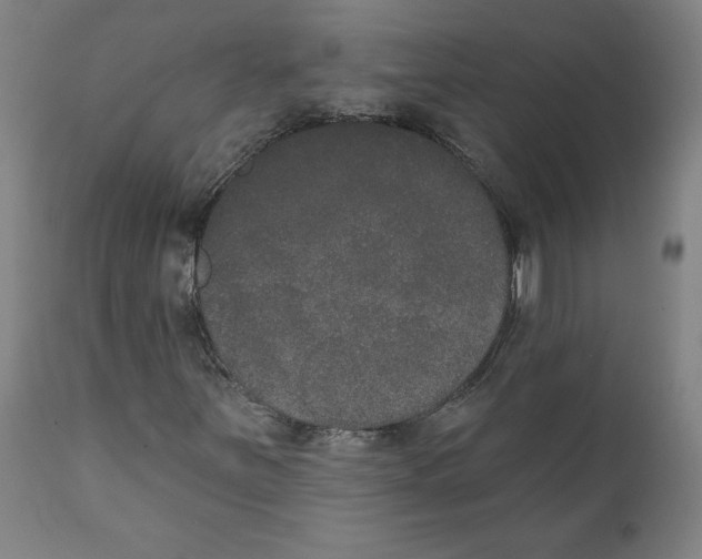 X0000111521251200908111154