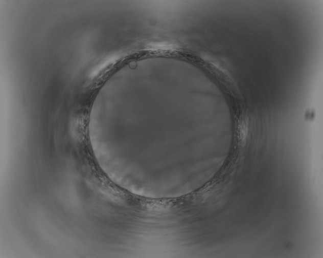 X0000111521254200908111154