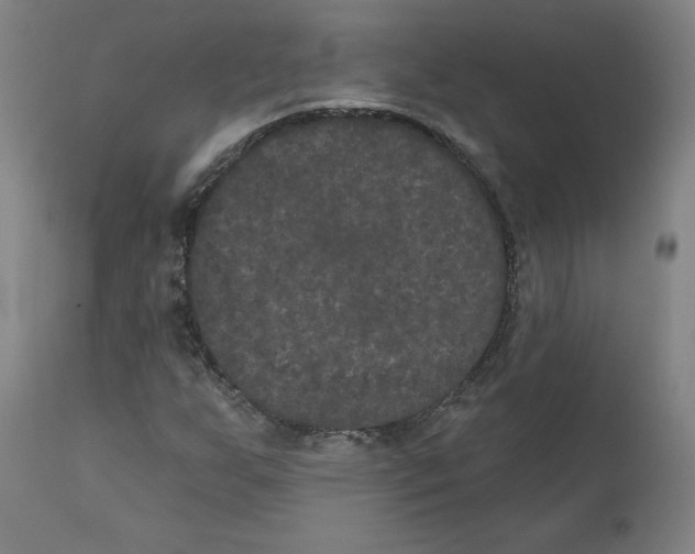 X0000111521255200908111154