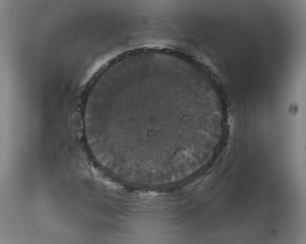 X0000111521256200908111154