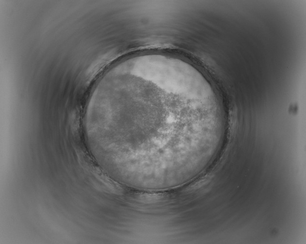 X0000111521257200908111154