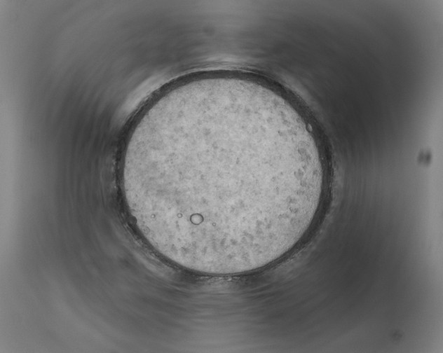 X0000111521259200908111154