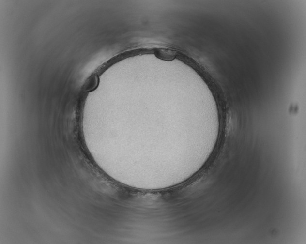 X0000111521261200908111154
