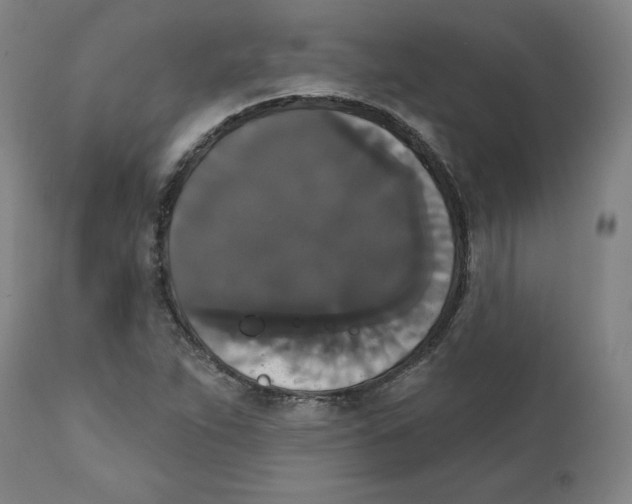 X0000111521263200908111154