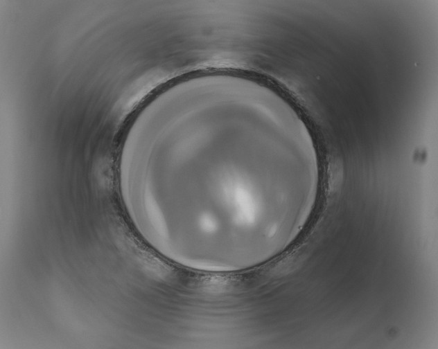 X0000111521266200908111154