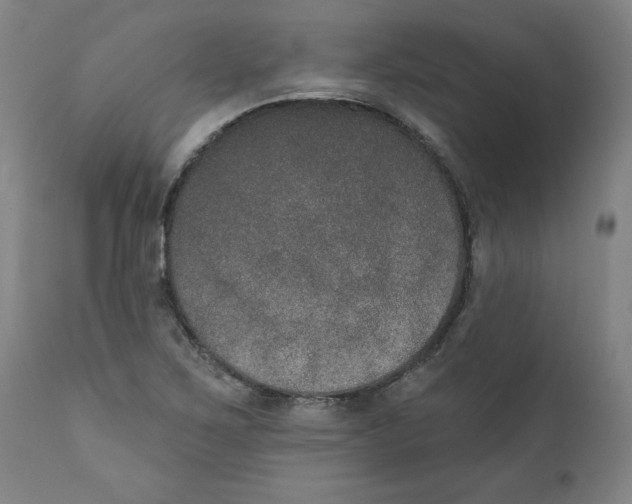 X0000111521267200908111154