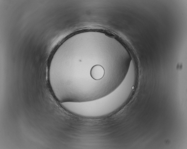 X0000111521269200908111154