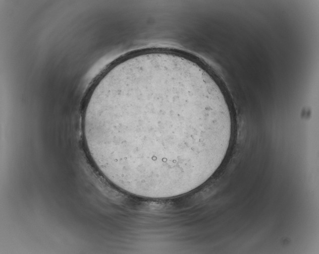X0000111521271200908111154