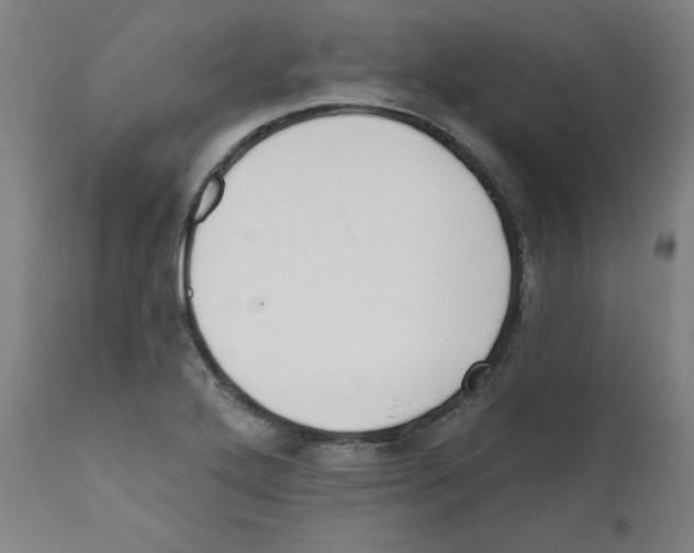 X0000111521272200908111154