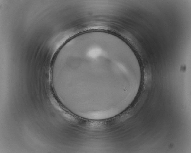 X0000111521274200908111154