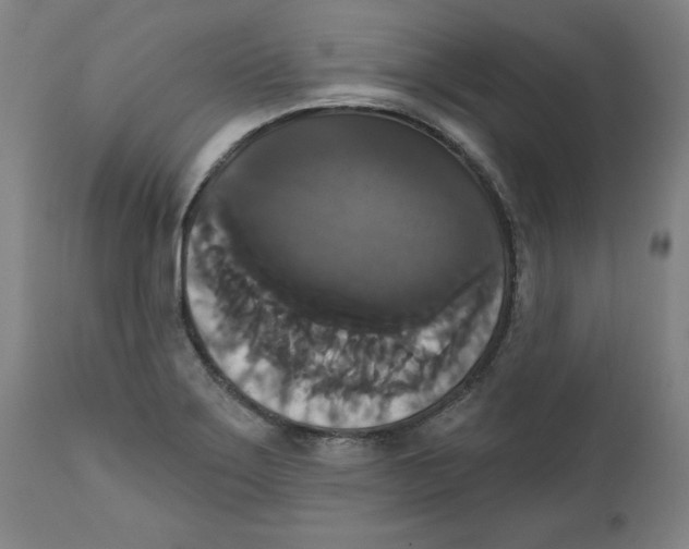 X0000111521275200908111154