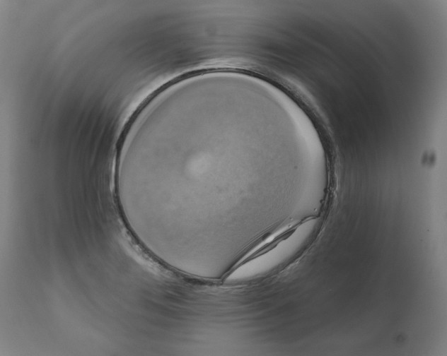 X0000111521276200908111154