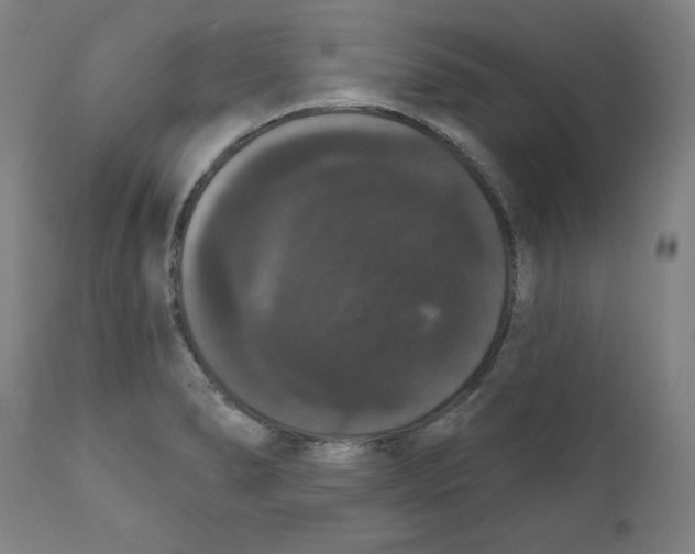 X0000111521278200908111154