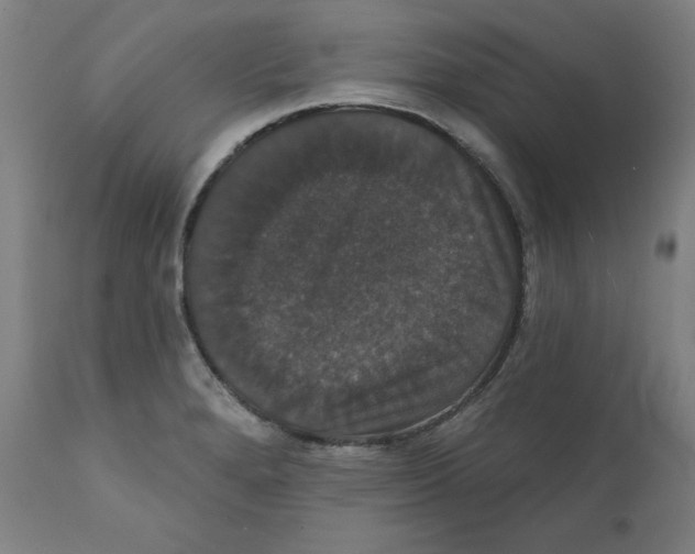 X0000111521280200908111154