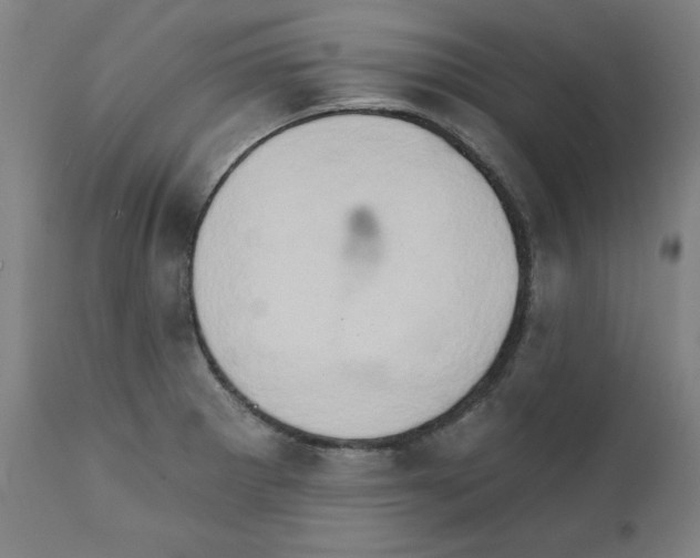 X0000111521281200908111154