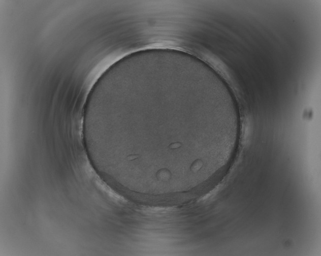 X0000111521284200908111153