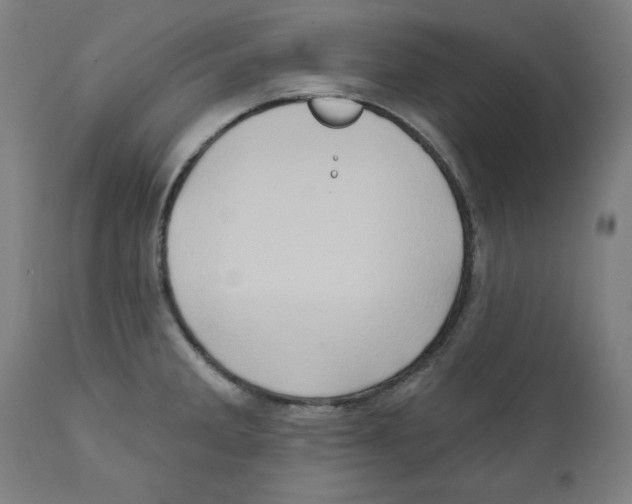 X0000111521285200908111153