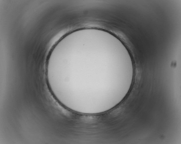 X0000111521286200908111153