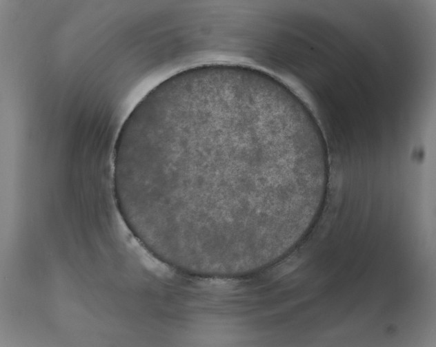 X0000111521287200908111153
