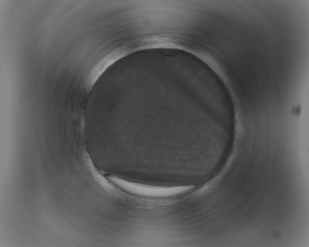 X0000111521289200908111153