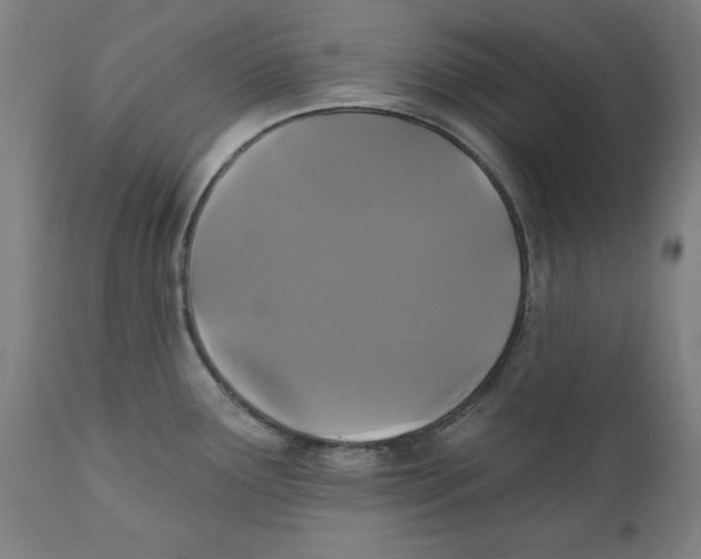 X0000111521291200908111153