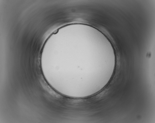 X0000111521292200908111153