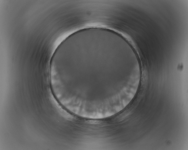 X0000111521295200908111153