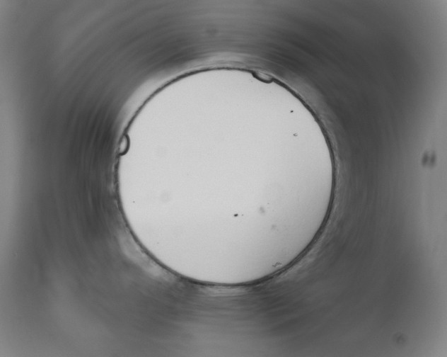 X0000111521296200908111153