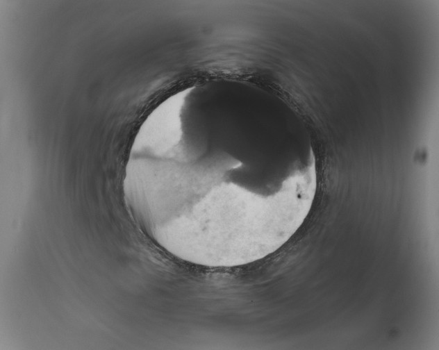 X0000111521297200908111153