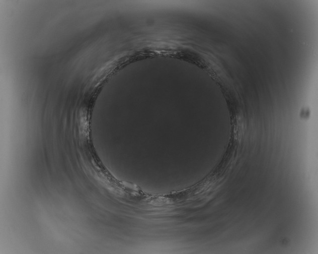 X0000111521298200908111153
