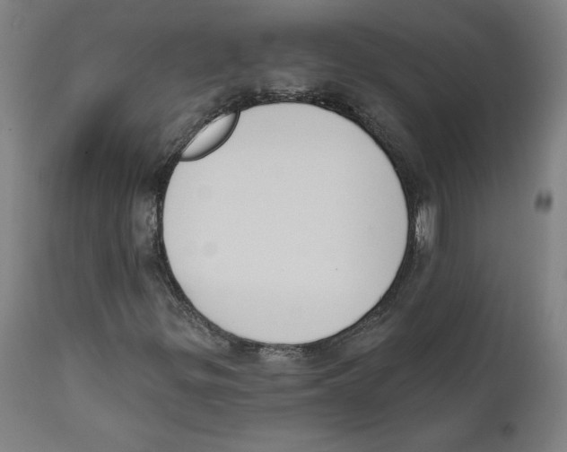 X0000111521299200908111153