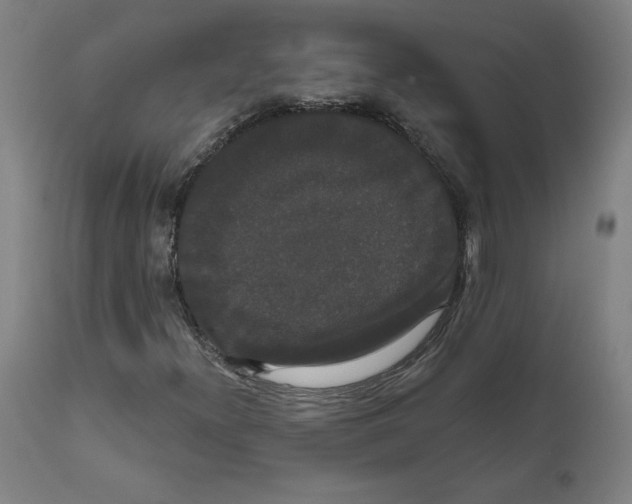 X0000111521300200908111153