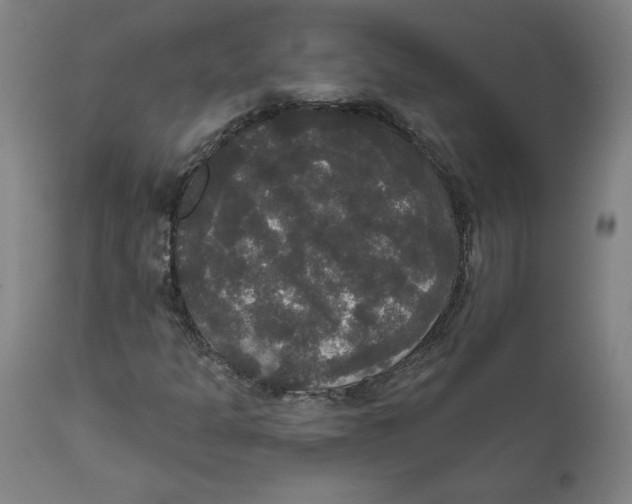 X0000111521301200908111153