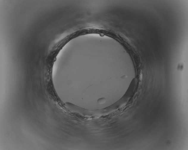 X0000111521303200908111153