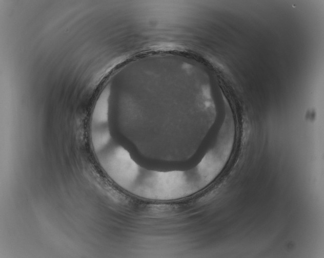 X0000111521305200908111153