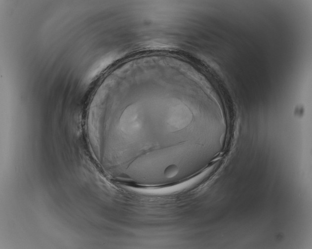 X0000111521306200908111153